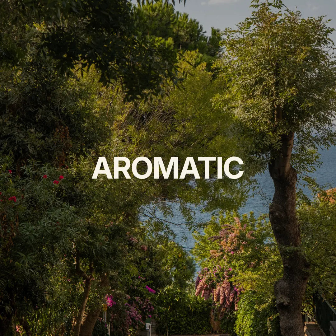 Aromatic Candle Collection