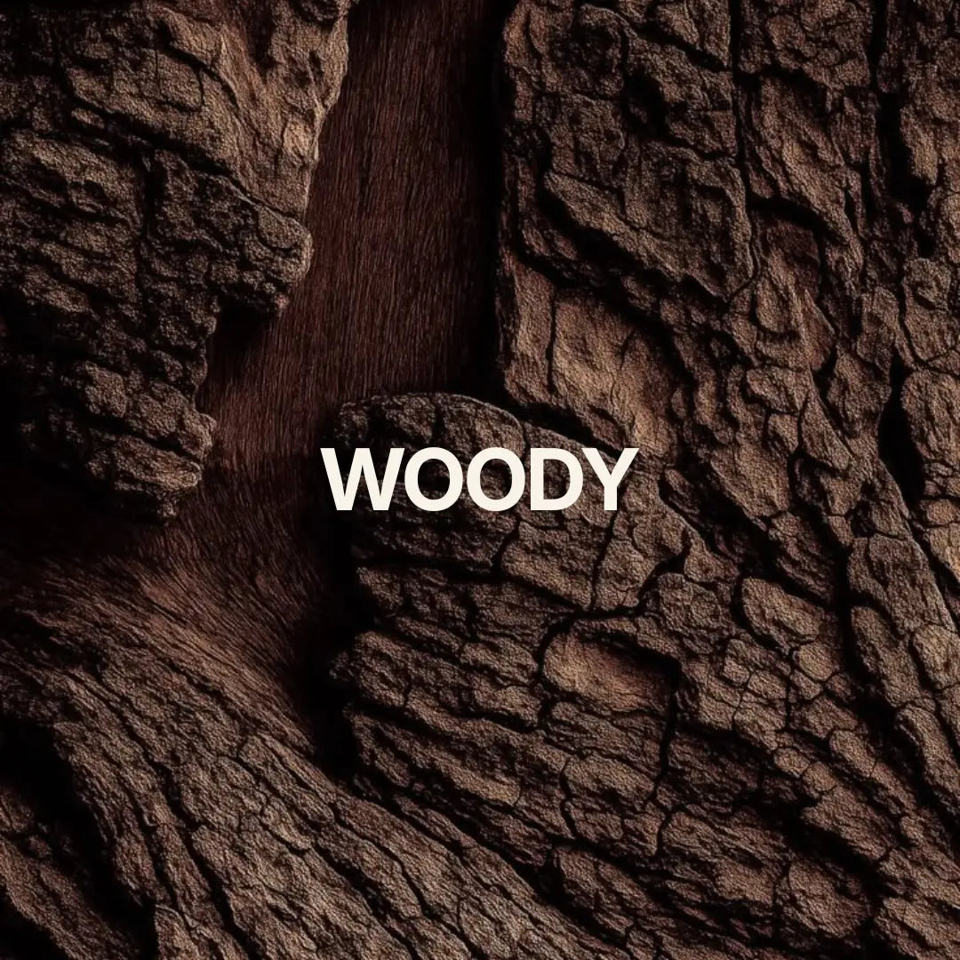 Wood scented candles with warm, earthy notes of sandalwood, cedarwood, oakmoss and vetiver from The Roo Co woody candle collection.